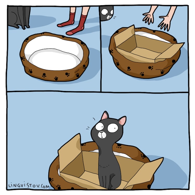 Cats love boxes