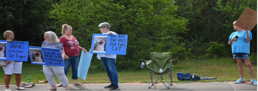 Animal abuse protesters