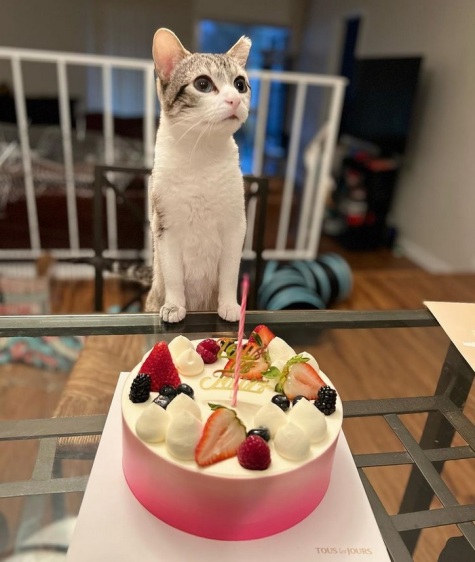 Birthday girl: Parsnip celebrated her first birthday with her human on March 10 after beginning treatment.