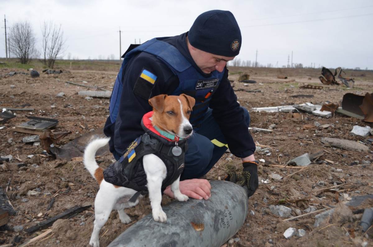 This Good Boy Has Helped Defuse 150 Russian Explosives In Ukraine