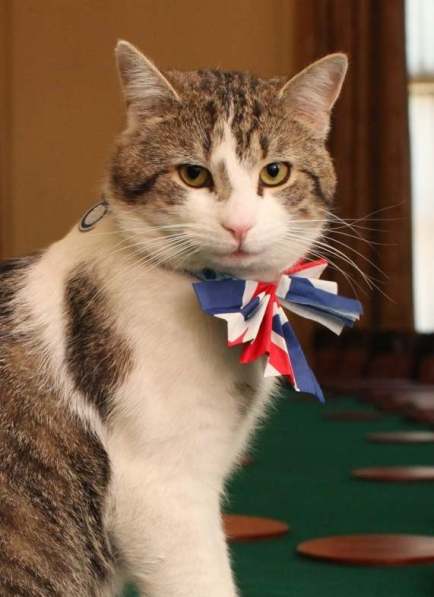 Larry the Cat. Credit: 10 Downing St.