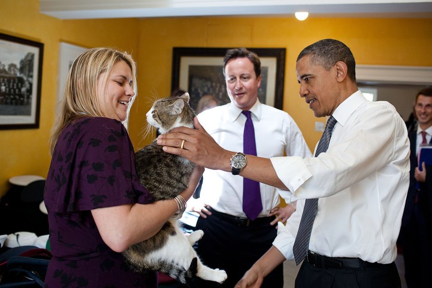 President Barack Obama and Prime Minister David Cameron play with a cat named "Larry" at 10 Downing Street in London, England, May 25, 2011. Larry was adopted by 10 Downing to handle rodents. Liz Suggs holds the cat. (Official White House Photo by Pete Souza)