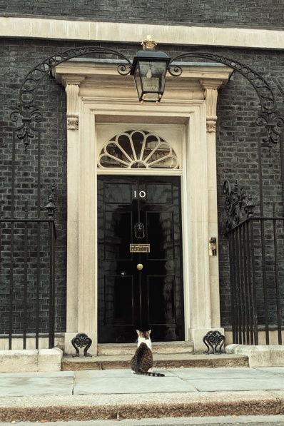 Larry the Cat. Credit: 10 Downing St.