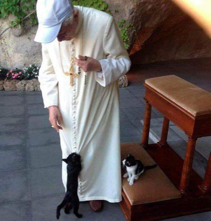 The Pope and the Cats