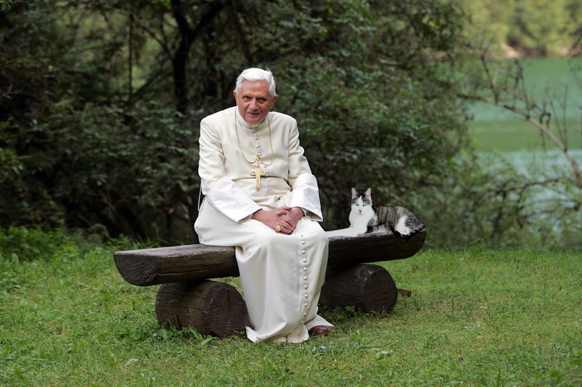 The Pope and the Cat